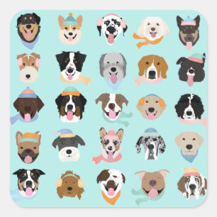 Sticker Carré Chien d'hiver face au verre