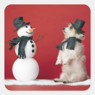 Sticker Carré Chien et Snowman