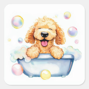 Sticker Carré Chien Goldendoodle
