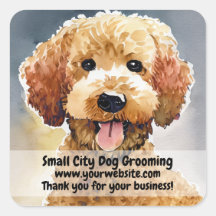 Chien Groomer