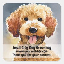 Chien Groomer