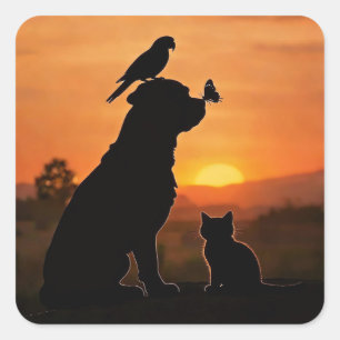 Sticker Carré Chien mignon Chat Oiseau et Papillon au coucher du