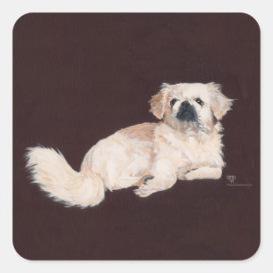 Sticker Carré Chien Pékinois Blanc