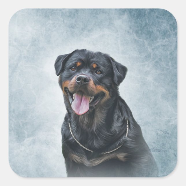 Sticker Carré Chien Rottweiler (Devant)