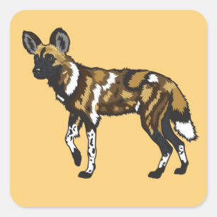 Sticker Carré Chien sauvage africain. Afrique sauvage