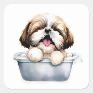 Sticker Carré Chien Shih Tzu