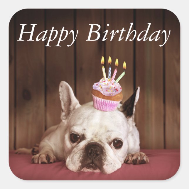 Sticker Carré Chien-taureau français avec Cupcake d'anniversaire (Devant)