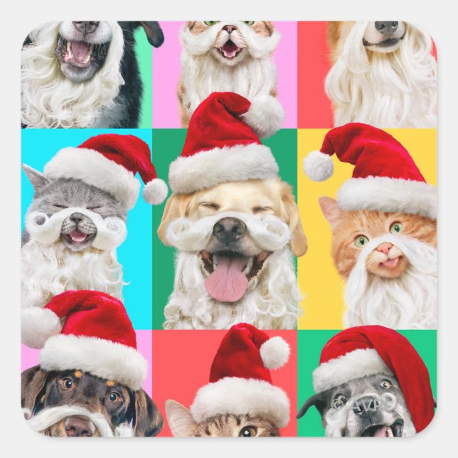 Sticker Carré Chiens et chats avec barbe de Père Noël (Devant)