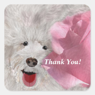 Sticker Carré Chiens et Roses