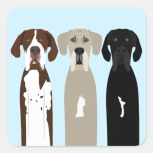 Sticker Carré Chiens géants
