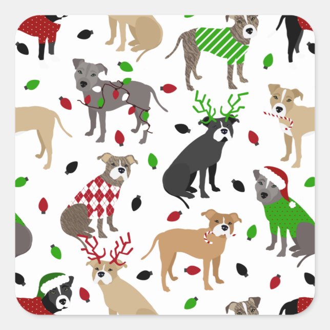 Sticker Carré Chiens Pitbull de Noël (Devant)