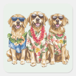 Sticker Carré Chiens Retriever Dorés Hawaïens Fleur Lei