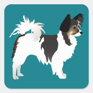 Sticker Carré Chihuahua aux cheveux longs ou Papillon Conception