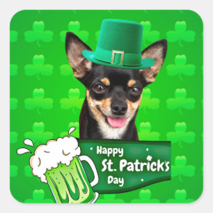 Sticker Carré Chihuahua Chien Chiot Chiot St. Patrick's Day Clov