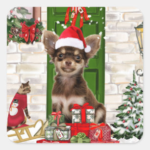 Sticker Carré Chihuahua Chien Noël