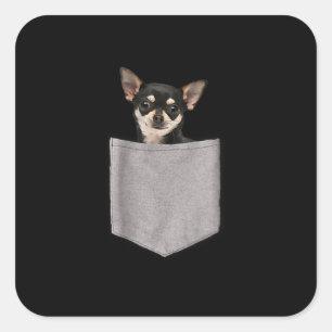 Sticker Carré chihuahua dans la poche chihuahua cadeaux