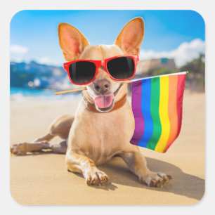Sticker Carré Chihuahua Dog à la plage