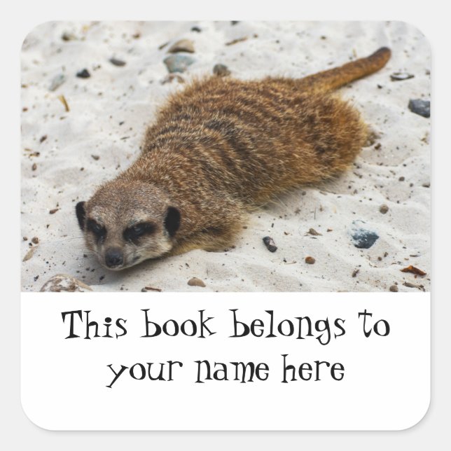 Sticker Carré Chillin' Meerkat "Ce livre appartient à" autocolla (Devant)