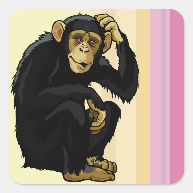 Sticker Carré chimpanzé (Devant)