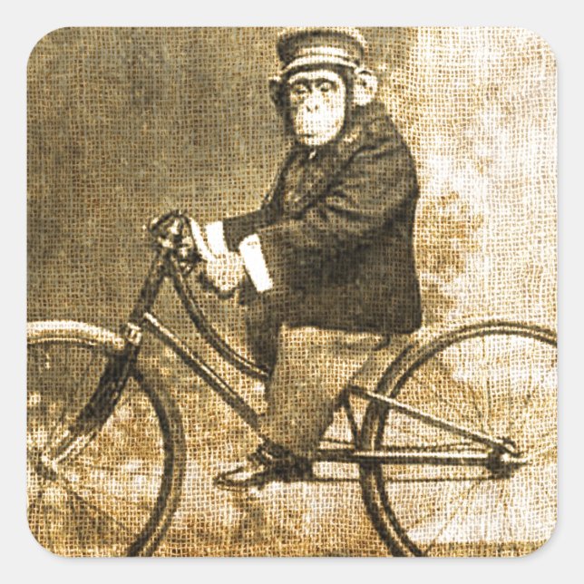 Sticker Carré Chimpanzé vintage à vélo (Devant)