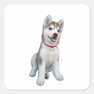 Sticker Carré Chiots Husky Sibérien