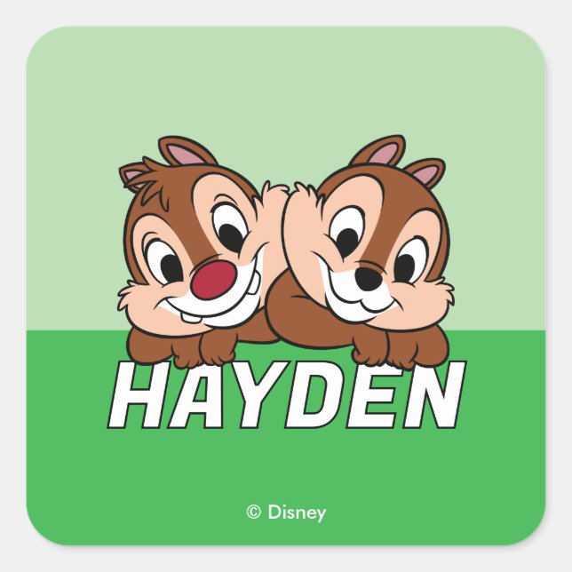 Sticker Carré Chip & Dale Smile (Devant)