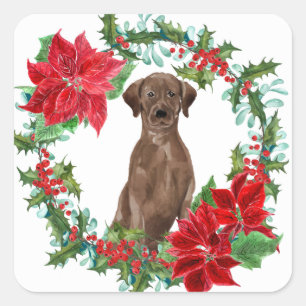 Sticker Carré Chocolat Lab Poinsettia couronne de Noël