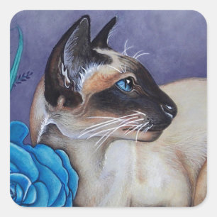 Sticker Carré Chocolat Siamese Point