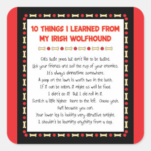 Sticker Carré Choses drôles I appris de mon chien-loup irlandai