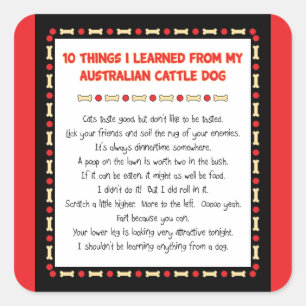 Sticker Carré Choses drôles I appris du chien australien de
