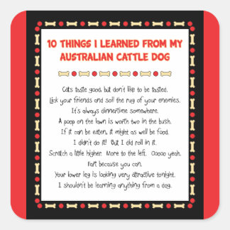 Sticker Carré Choses drôles I appris du chien australien de