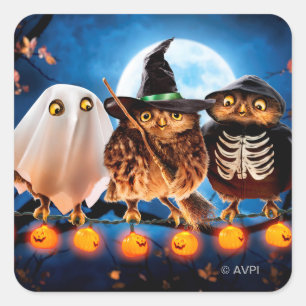 Sticker Carré Chouette d'Halloween