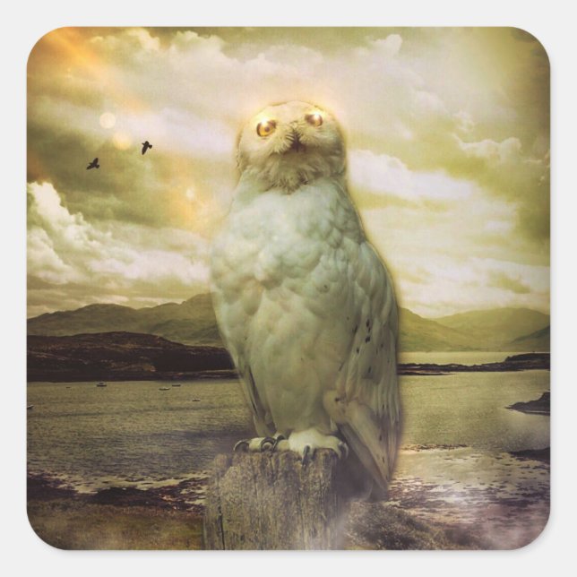 Sticker Carré Chouette mystique (Devant)
