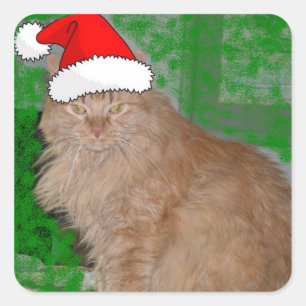 Sticker Carré Christmas Orange Tabby Kitten