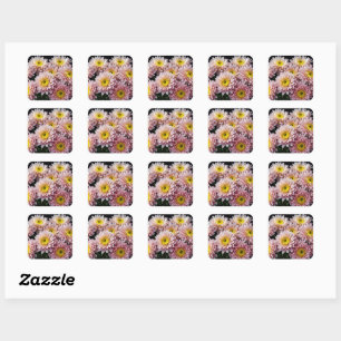 Sticker Carré Chrysanthème Fleur colorée décoration en fleurs