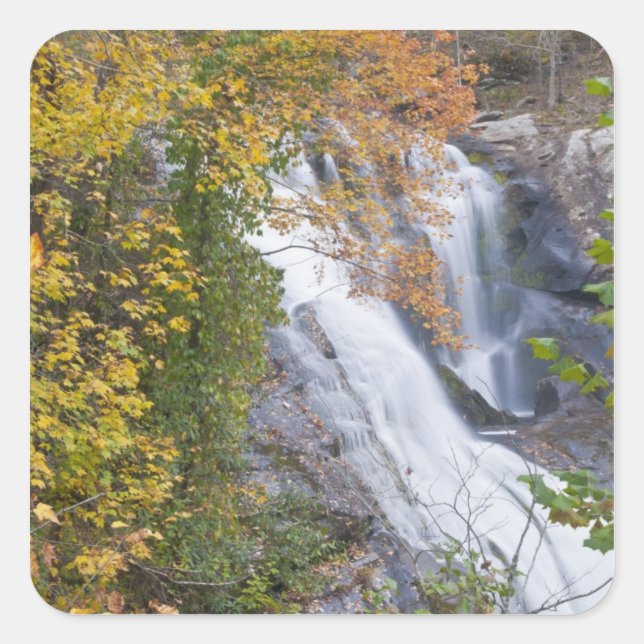 Sticker Carré Chutes de Bald River (Devant)