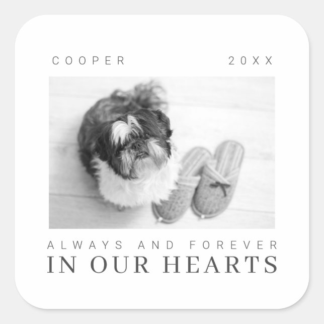 Sticker Carré Citation Pet Memorial Simple Modern Chic Photo (Devant)