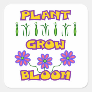 Sticker Carré Citation plante Fleur de croissance Fleur rose Tex