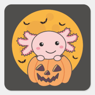 Sticker Carré Citrouille Axolotl Amateurs De Beaux Animaux Pour
