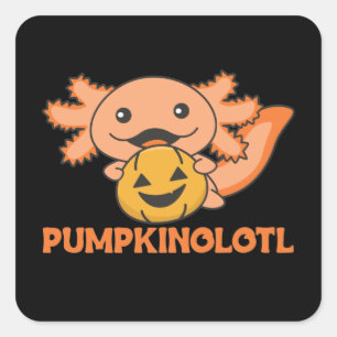 Sticker Carré Citrouille Axolotl Amateurs De Beaux Animaux Pour