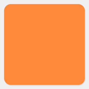 Sticker Carré Citrouille Orange