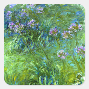 Sticker Carré Claude Monet : Agapanthus