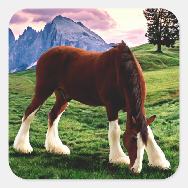 Sticker Carré Clydesdale Sunset (Devant)