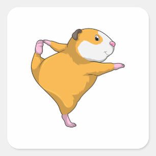 Sticker Carré Cochon de Guinée au Yoga Exercice d'étirement