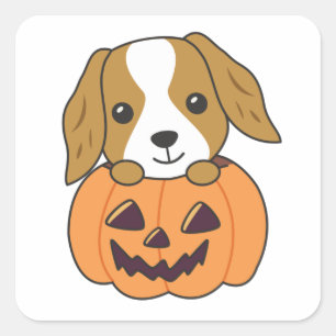 Sticker Carré Cocker Spaniel Citrouille Chiens mignons Joyeux Ha