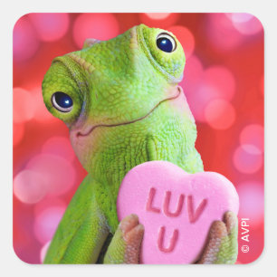Sticker Carré Cœur de Caméléon (Amour toi)