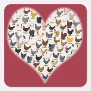 Sticker Carré Coeur de poulet