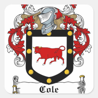 Sticker Carré Cole-Irish-Crest