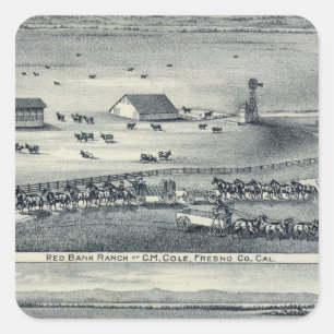 Sticker Carré Cole Ranches