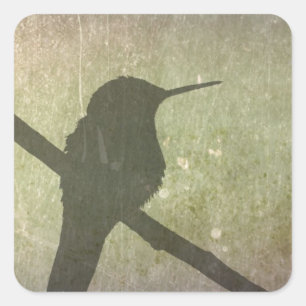 Sticker Carré Colibri